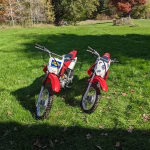 Meet your Posher, Benjamin